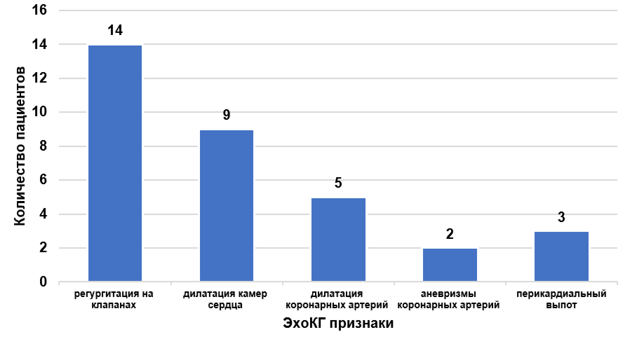 Структура изменений по данным ЭхоКГ у пациентов