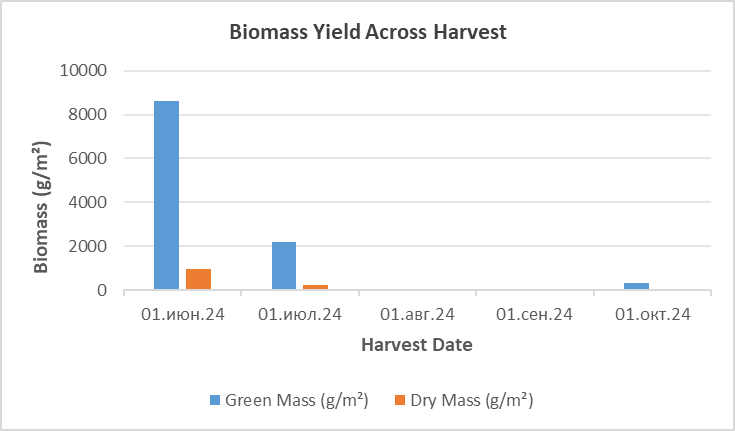 Seasonal above-ground biomass yield (green and dry mass) of Heracleum sosnowsky across three harvests during the 2024 growing season