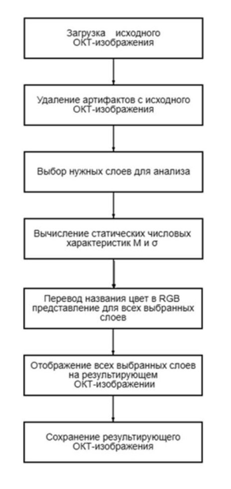 Алгоритм реализации анализа ОКТ-изображения