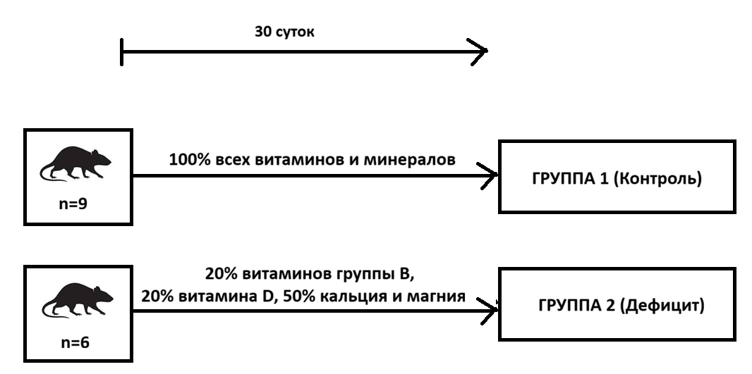 Схема эксперимента