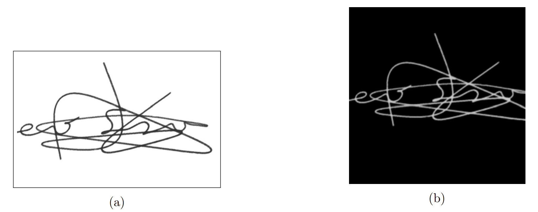 Sample signature:a) before preprocessing; b) after preprocessing
