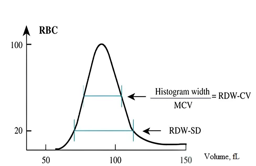 Red blood cell volume distribution curve