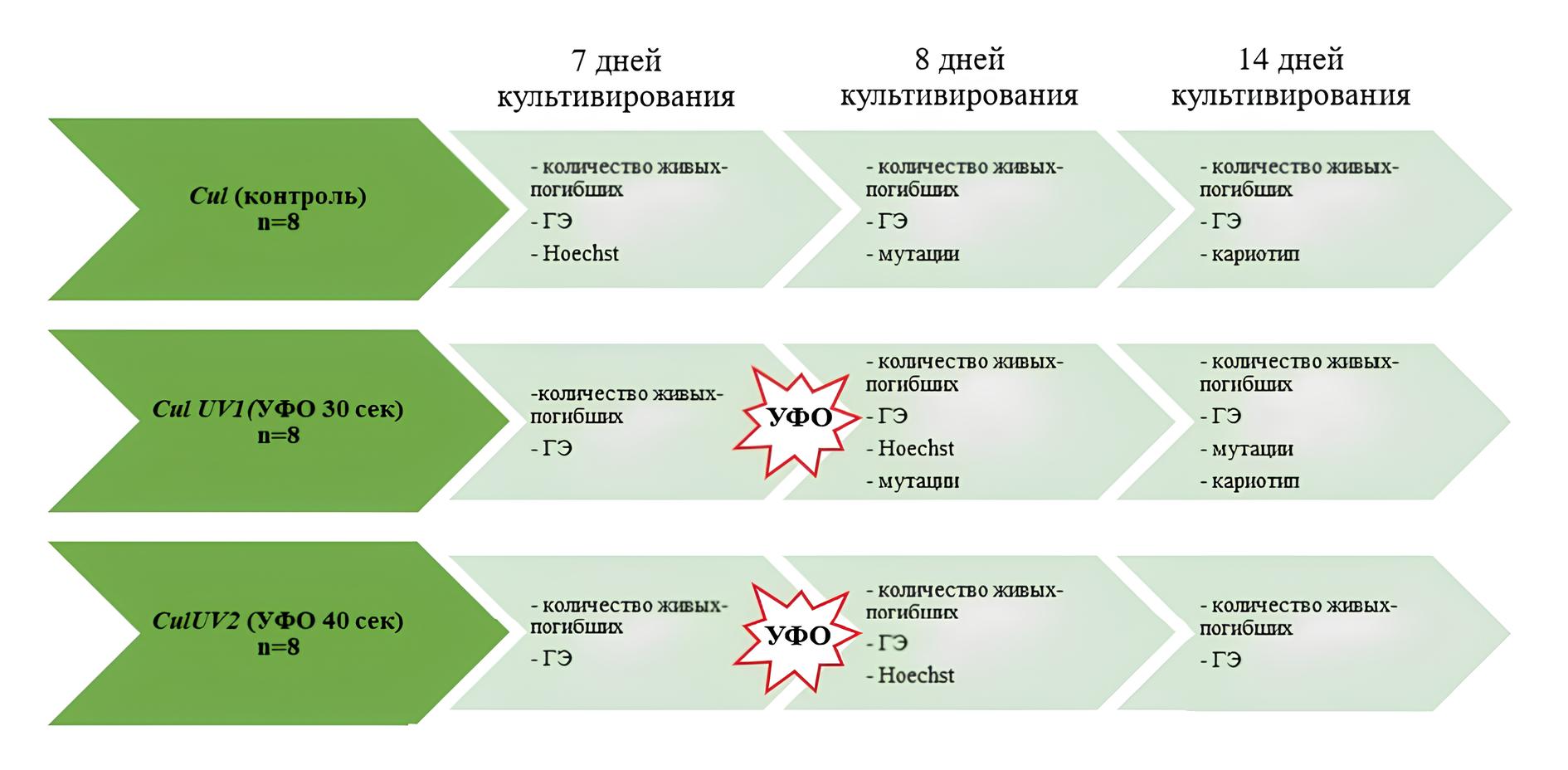 Дизайн эксперимента