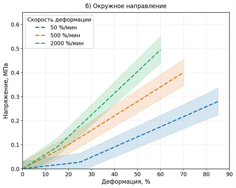 Кривые «напряжение – деформация» образцов мочевого пузыря человека, вырезанных: в поперечном направлении