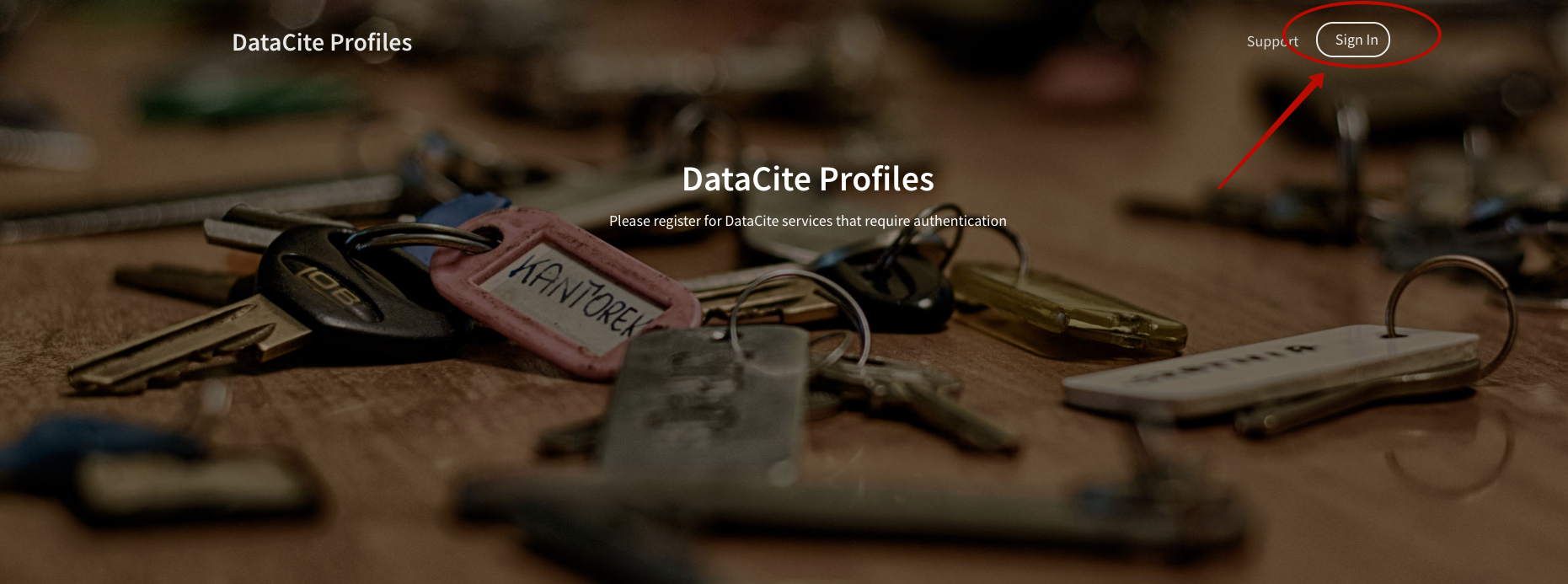 Connect DataCite Profiles with Orcid